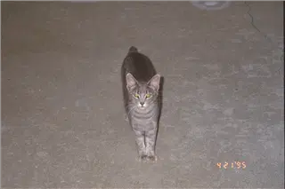 small_9511 2524 family, cew, viaIMG0037.webp